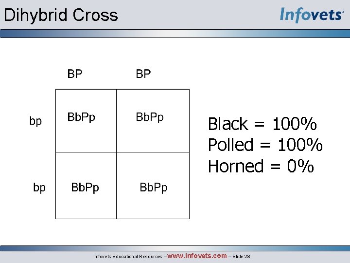 Dihybrid Cross Black = 100% Polled = 100% Horned = 0% Infovets Educational Resources