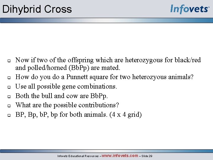 Dihybrid Cross q q q Now if two of the offspring which are heterozygous