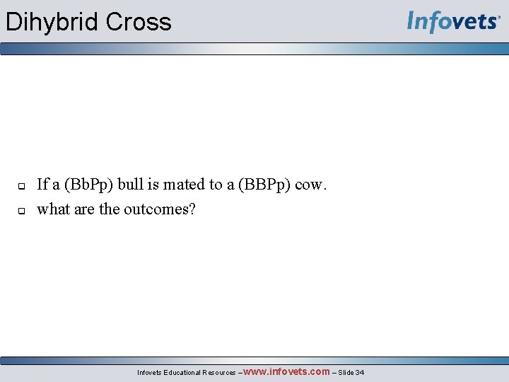 Dihybrid Cross q q If a (Bb. Pp) bull is mated to a (BBPp)