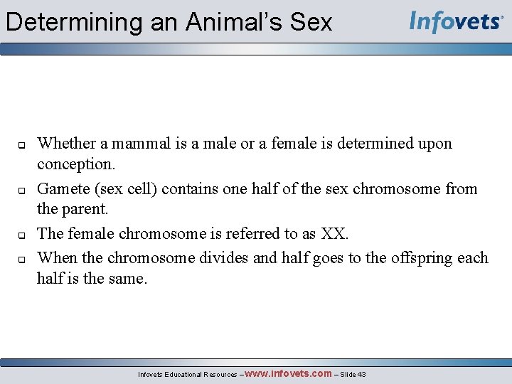 Determining an Animal’s Sex q q Whether a mammal is a male or a