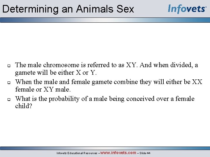 Determining an Animals Sex q q q The male chromosome is referred to as