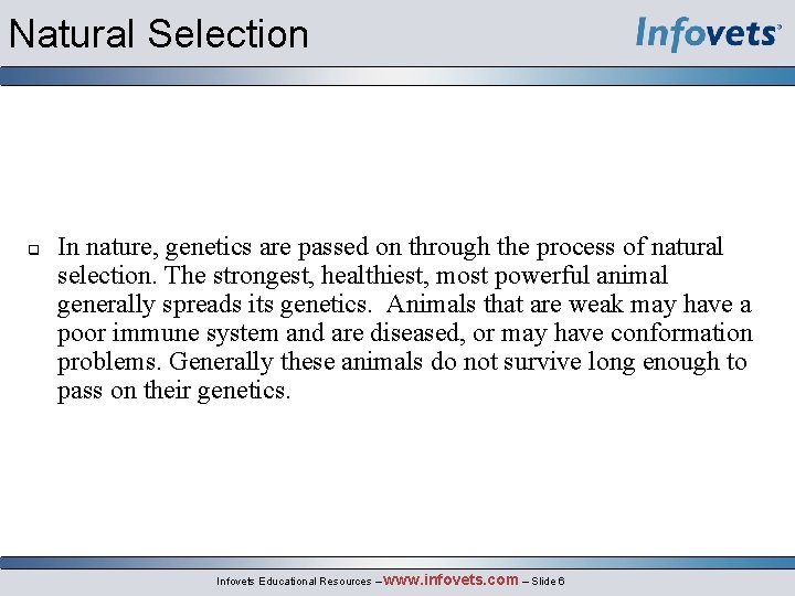 Natural Selection q In nature, genetics are passed on through the process of natural