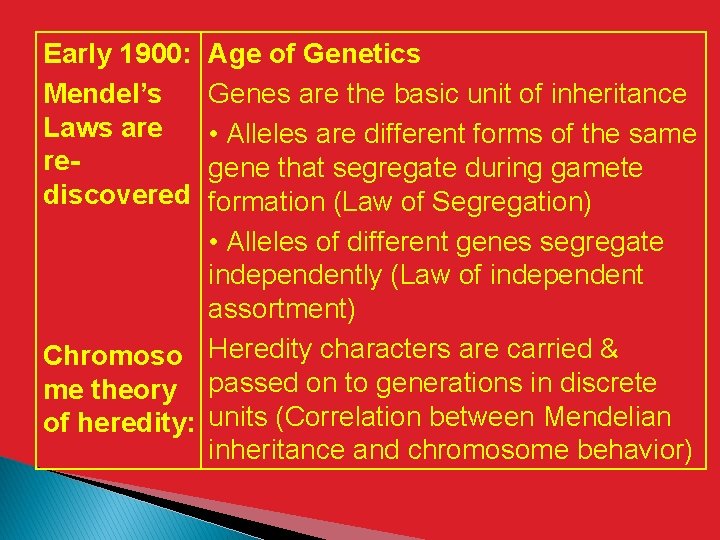 Early 1900: Mendel’s Laws are rediscovered Age of Genetics Genes are the basic unit