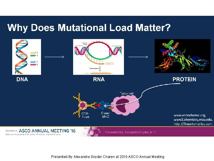 Why Does Mutational Load Matter? Presented By Alexandra Snyder Charen at 2016 ASCO Annual