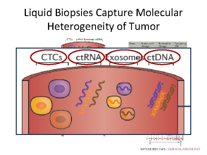 Liquid Biopsies Capture Molecular Heterogeneity of Tumor 