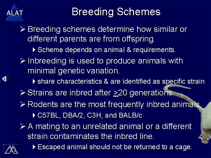 Breeding Schemes Ø Breeding schemes determine how similar or different parents are from offspring.