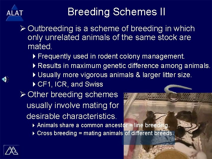 Breeding Schemes II Ø Outbreeding is a scheme of breeding in which only unrelated