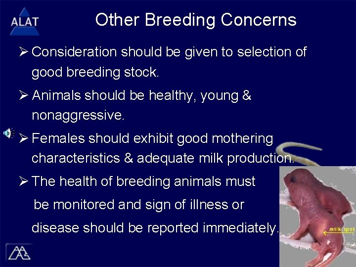 Other Breeding Concerns Ø Consideration should be given to selection of good breeding stock.