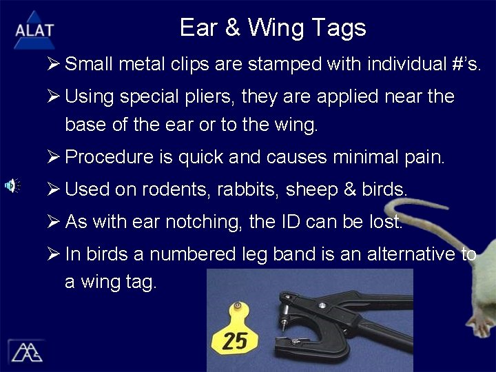 Ear & Wing Tags Ø Small metal clips are stamped with individual #’s. Ø
