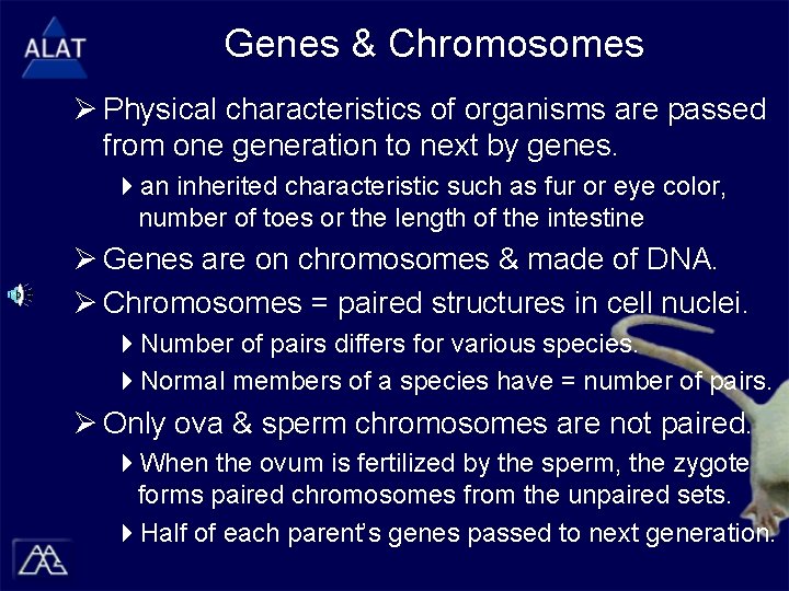 Genes & Chromosomes Ø Physical characteristics of organisms are passed from one generation to
