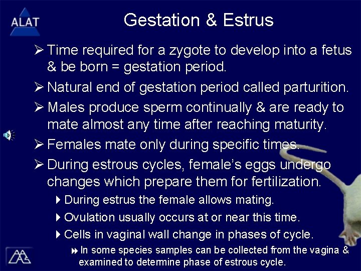Gestation & Estrus Ø Time required for a zygote to develop into a fetus