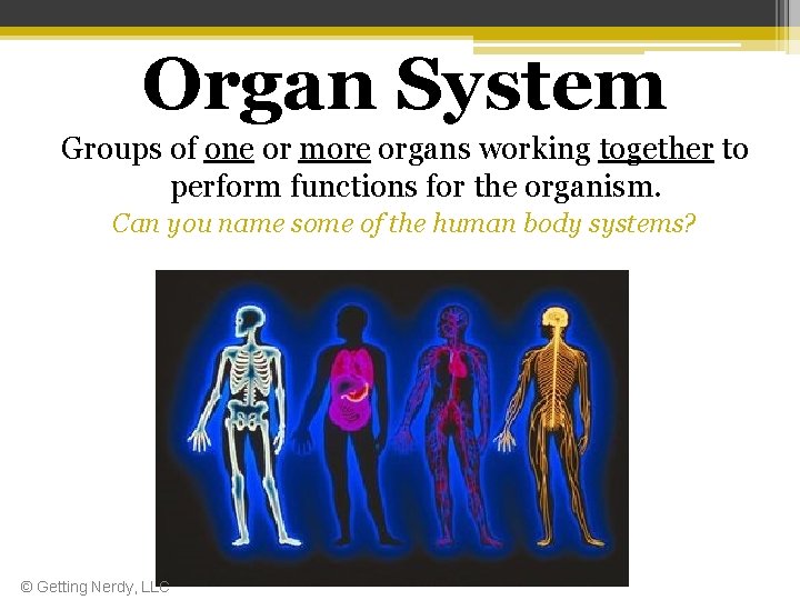Organ System Groups of one or more organs working together to perform functions for