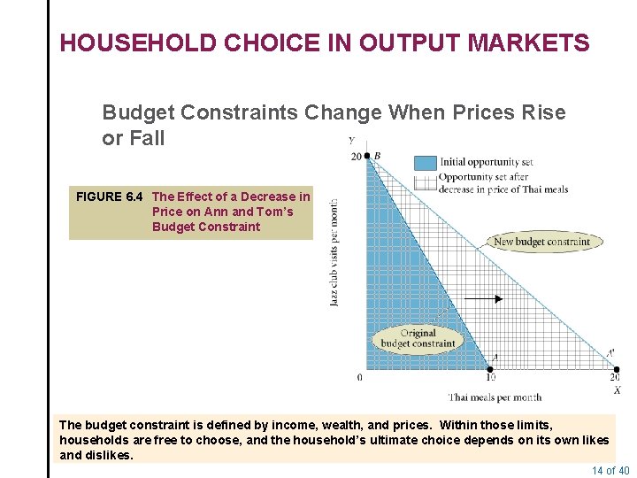 HOUSEHOLD CHOICE IN OUTPUT MARKETS Budget Constraints Change When Prices Rise or Fall FIGURE