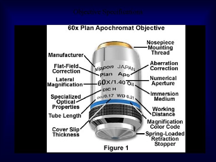 Objective Specifications 