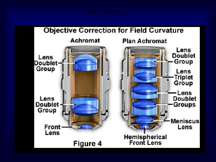 Plan Objectives 