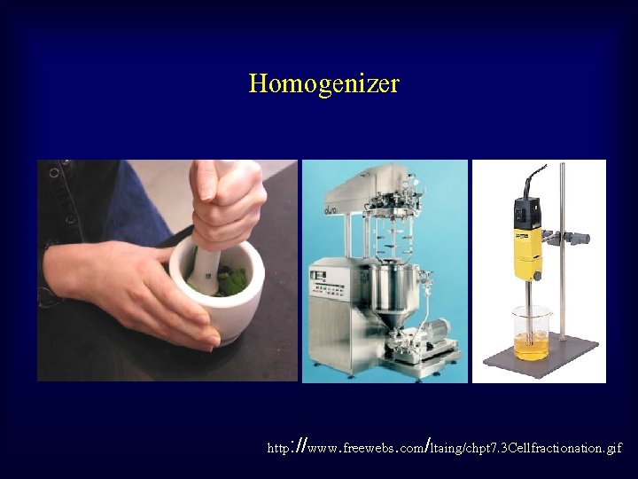 Homogenizer http: //www. freewebs. com/ltaing/chpt 7. 3 Cellfractionation. gif 