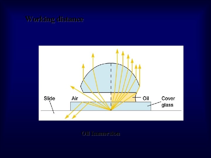 Working distance Oil Immersion 