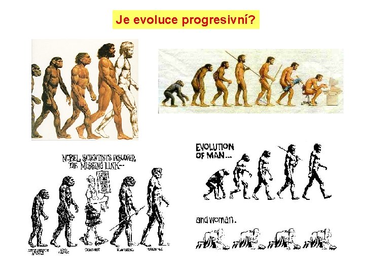 Je evoluce progresivní? 