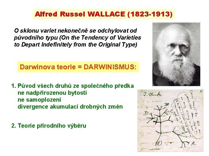 Alfred Russel WALLACE (1823 -1913) O sklonu variet nekonečně se odchylovat od původního typu