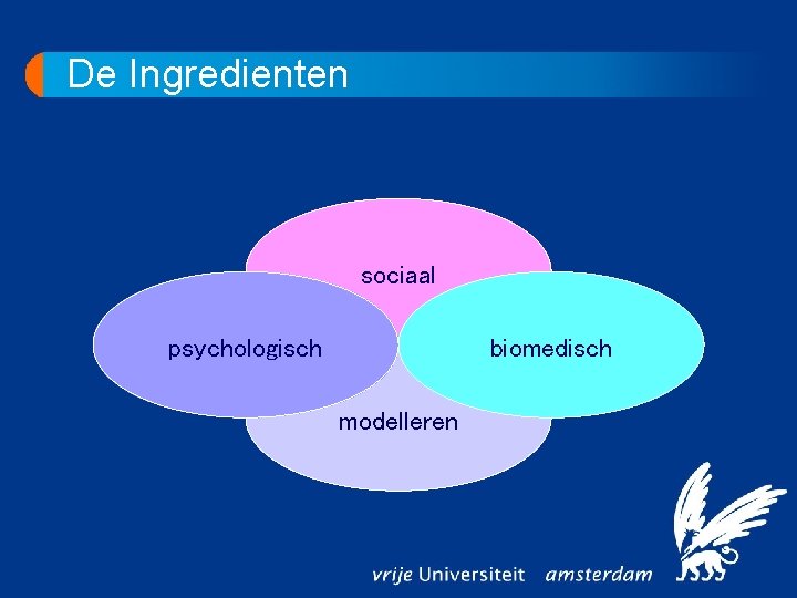 De Ingredienten sociaal psychologisch biomedisch modelleren 