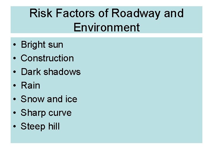 Risk Factors of Roadway and Environment • • Bright sun Construction Dark shadows Rain