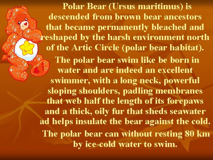 Polar Bear (Ursus maritimus) is descended from brown bear ancestors that became permanently bleached