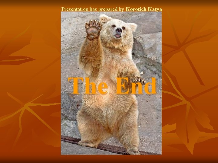 Presentation has prepared by Korotich Katya The End 
