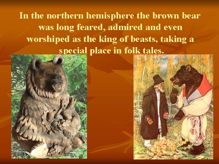 In the northern hemisphere the brown bear was long feared, admired and even worshiped