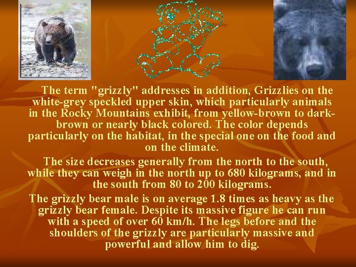 The term "grizzly" addresses in addition, Grizzlies on the white-grey speckled upper skin, which