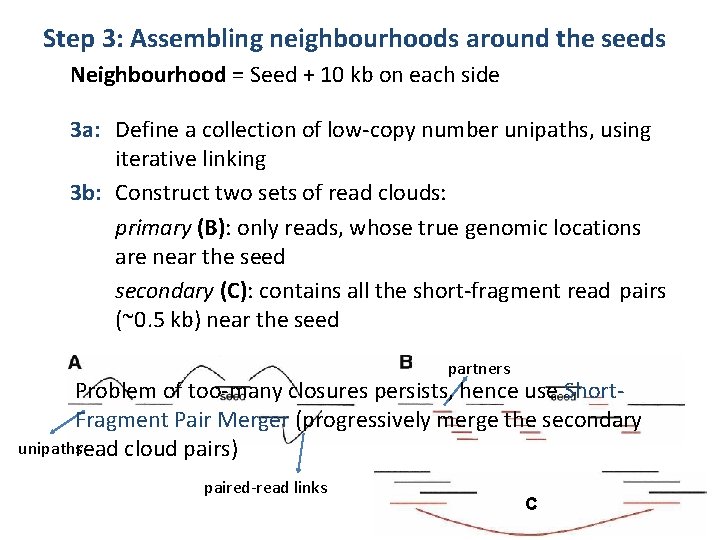 Step 3: Assembling neighbourhoods around the seeds Neighbourhood = Seed + 10 kb on