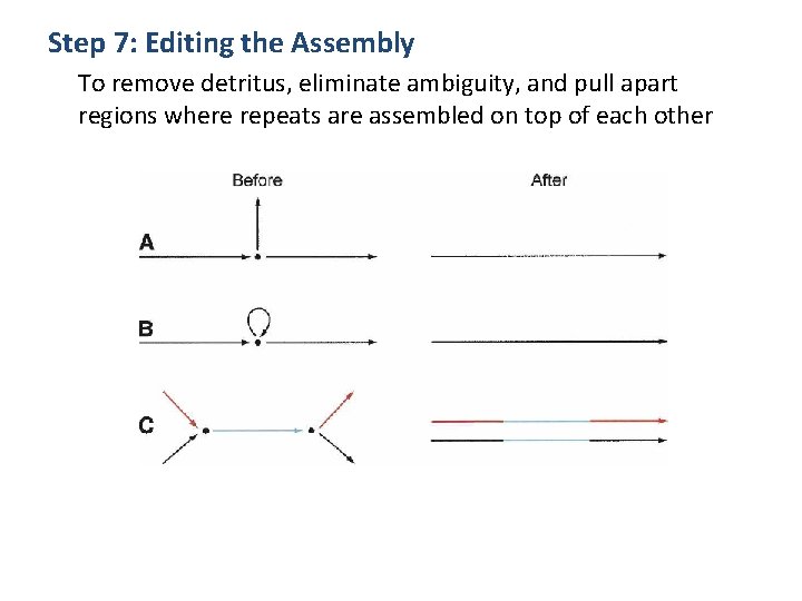 Step 7: Editing the Assembly To remove detritus, eliminate ambiguity, and pull apart regions