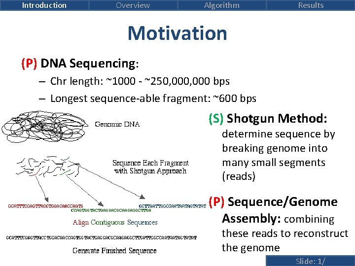 Introduction Overview Algorithm Results Motivation (P) DNA Sequencing: – Chr length: ~1000 - ~250,
