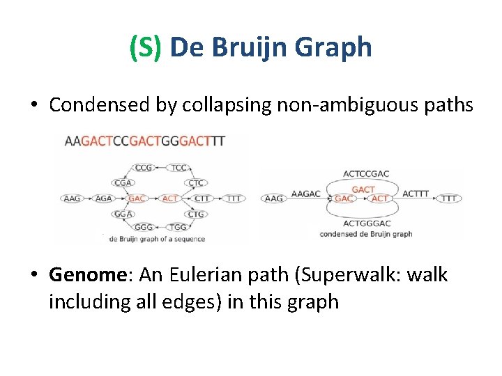 (S) De Bruijn Graph • Condensed by collapsing non-ambiguous paths • Genome: An Eulerian