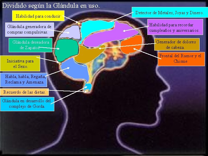 Dividido según la Glándula en uso. Habilidad para conducir. Glándula generadora de compras compulsivas.