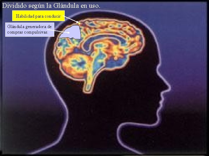 Dividido según la Glándula en uso. Habilidad para conducir. Glándula generadora de compras compulsivas.