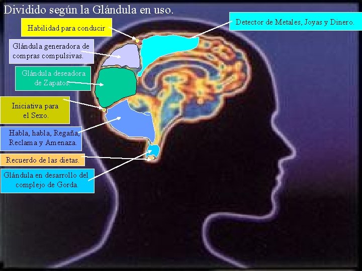 Dividido según la Glándula en uso. Habilidad para conducir. Glándula generadora de compras compulsivas.