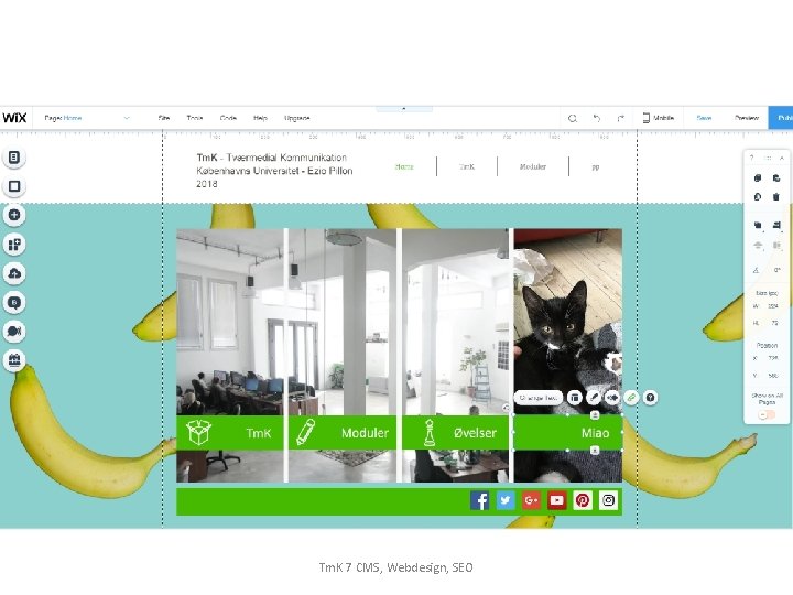 Opsamling CMS – Wix Webdesign SEO Gruppeopgave Tm. K 7 CMS, Webdesign, SEO 