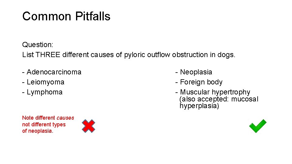 Common Pitfalls Question: List THREE different causes of pyloric outflow obstruction in dogs. -