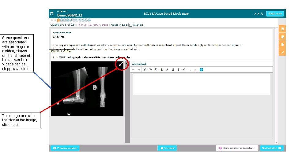 Some questions are associated with an image or a video, shown on the left