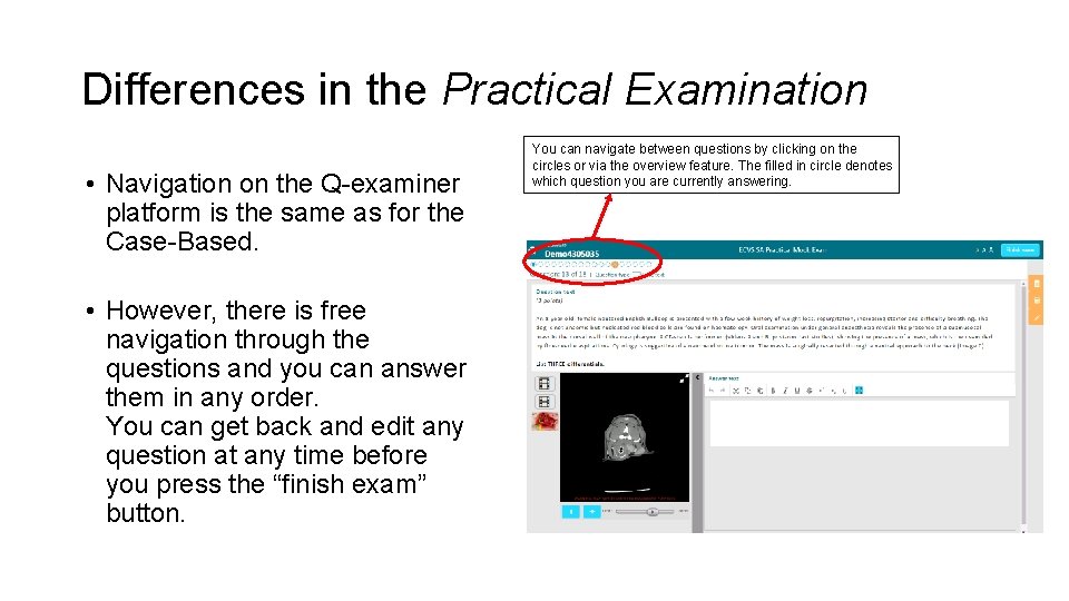 Differences in the Practical Examination • Navigation on the Q-examiner platform is the same