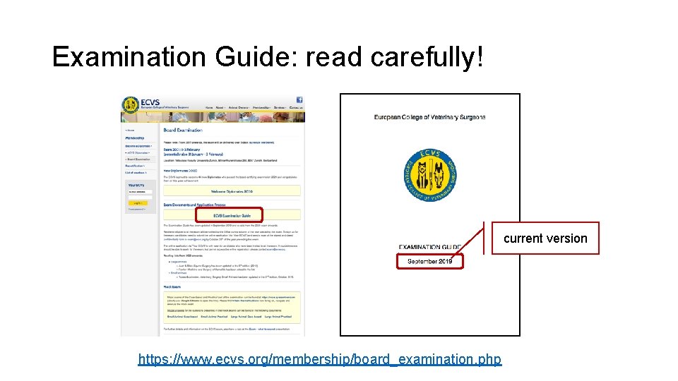 Examination Guide: read carefully! current version https: //www. ecvs. org/membership/board_examination. php 