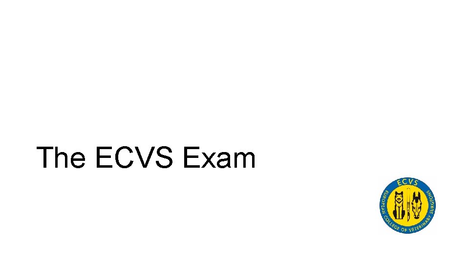 The ECVS Exam 