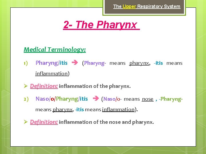 The Upper Respiratory System 2 - The Pharynx Medical Terminology: 1) Pharyng/itis (Pharyng- means