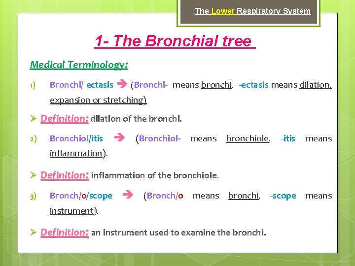 The Lower Respiratory System 1 - The Bronchial tree Medical Terminology: 1) Bronchi/ ectasis