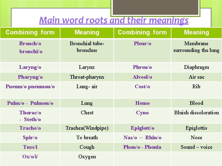 Main word roots and their meanings Combining form Meaning Bronch/o bronchi/o Bronchial tubebronchus Pleur/o