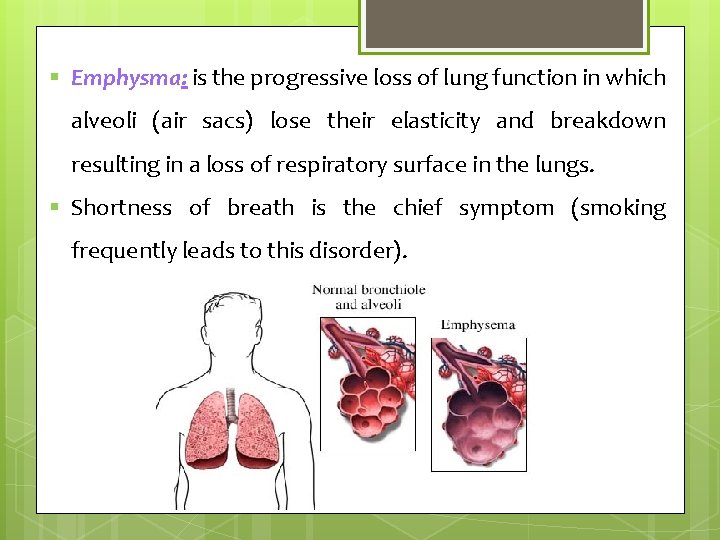§ Emphysma: is the progressive loss of lung function in which alveoli (air sacs)