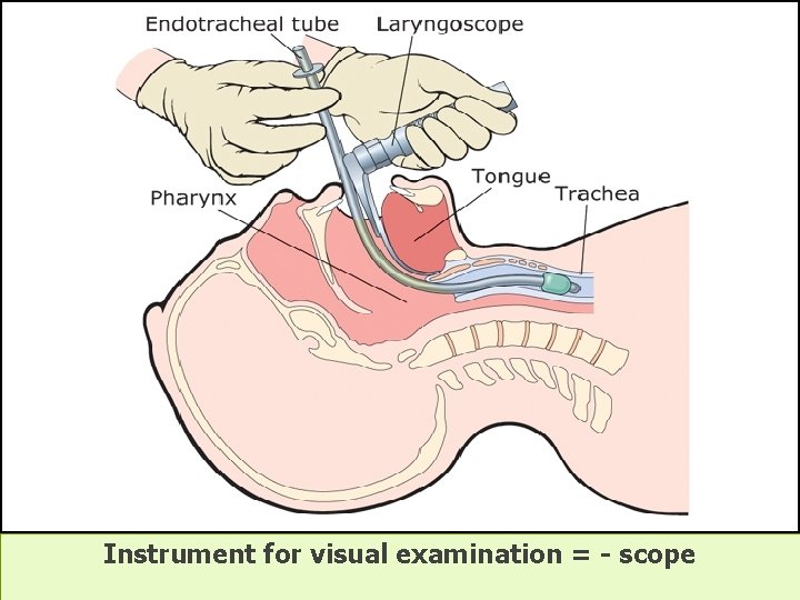 Instrument for visual examination = - scope 