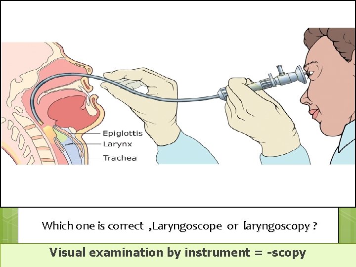 Which one is correct , Laryngoscope or laryngoscopy ? Visual examination by instrument =