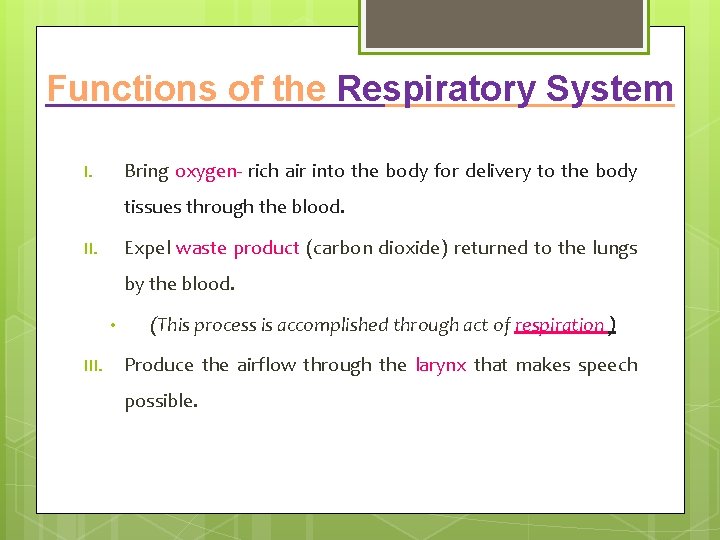 Functions of the Respiratory System Bring oxygen- rich air into the body for delivery