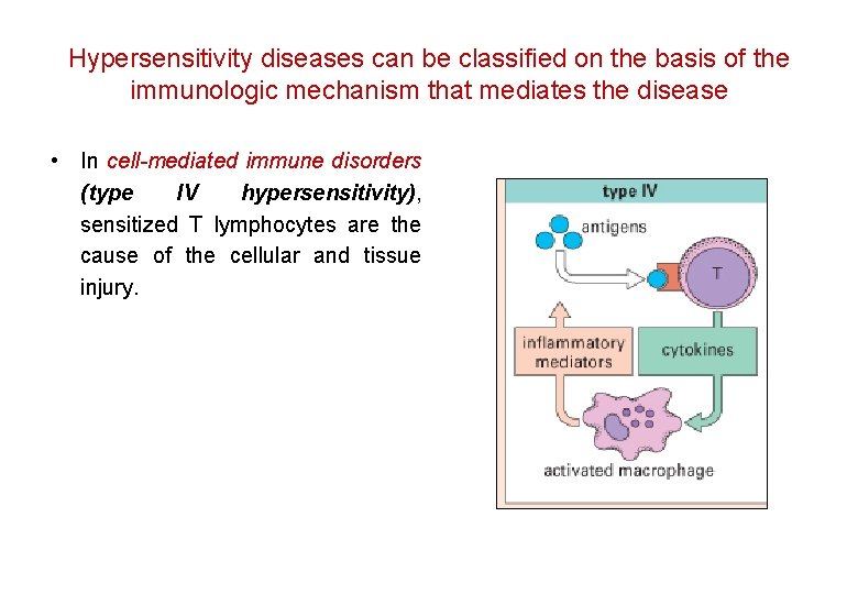 Hypersensitivity diseases can be classified on the basis of the immunologic mechanism that mediates